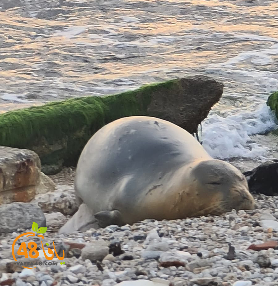 WhatsApp Image 2023-05-12 at 19.11.39.jpg